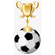 Labdarúgó bajnokságokra Labdarúgó bajnokságokra