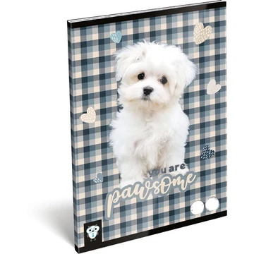 Füzet A/4, 80-32, sima - Pawsome