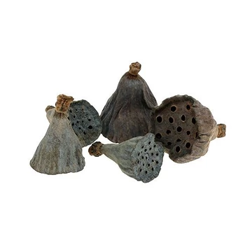 Lótusz mini, natúr, 18g/csomag