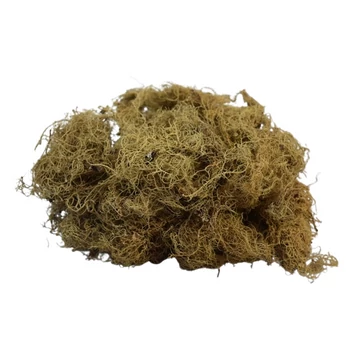 Kőmoha, kb 20g/csomag