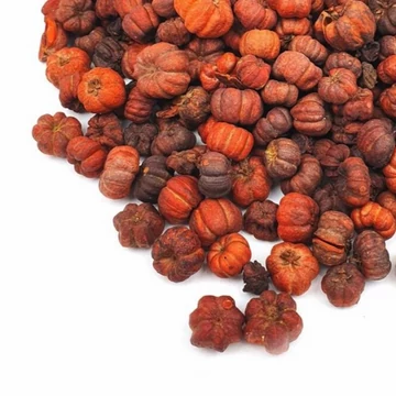 Liliputi tök, narancs, 10g/csomag