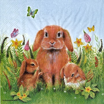 Szalvéta 33x33cm
