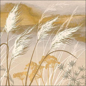 Szalvéta 33x33cm