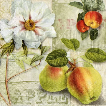 Szalvéta 33x33cm