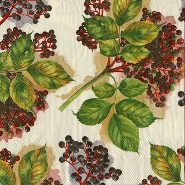 Szalvéta 33x33cm