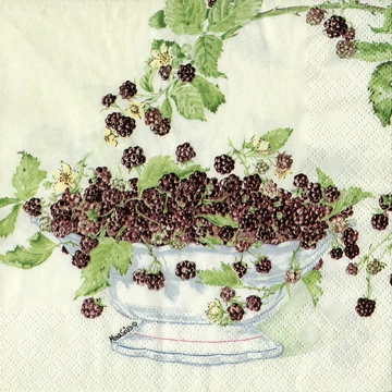 Szalvéta 33x33cm