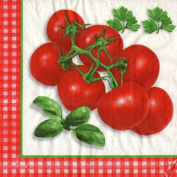 Szalvéta 33x33cm