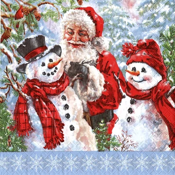 Szalvéta 33x33cm Szalvéta 33x33cm