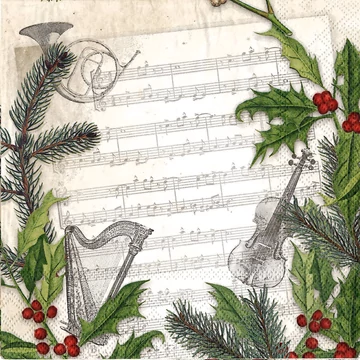 Szalvéta 33x33cm Szalvéta 33x33cm