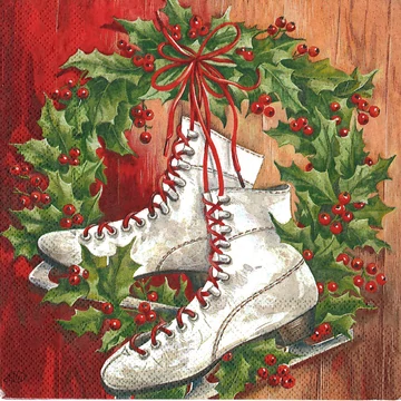 Szalvéta 33x33cm Szalvéta 33x33cm