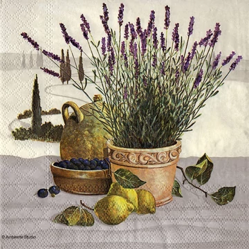 Szalvéta 33x33cm