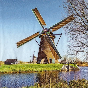 Szalvéta 33x33cm