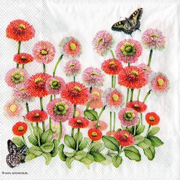 Szalvéta 33x33cm