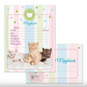 Ars Una Partimeghívó borítékkal - Cicák Ars Una Partimeghívó borítékkal - Cicák