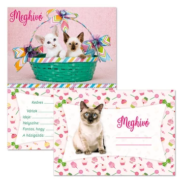 Ars Una Partimeghívó borítékkal - Cicás Ars Una Partimeghívó borítékkal - Cicás