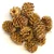 Salignum toboz barna, 15g/csomag