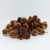Tobozszerű, casuarina 10g/csomag