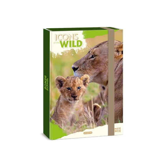 Ars Una füzetbox A/4 - Icon of the Wild Lion