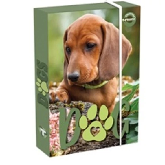 Füzetbox, T-Creativ Dog A/5