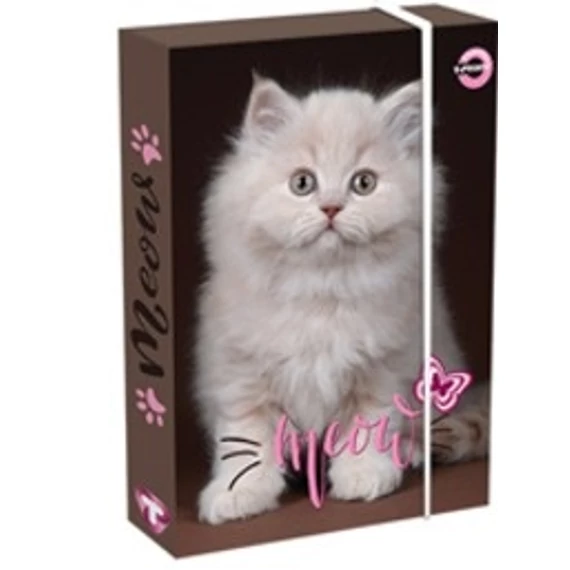 Füzetbox, T-Creativ Meow A/4