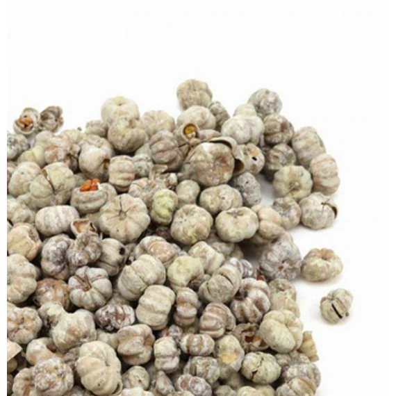 Fokhagymatermés - falfestékes, 10g/csomag