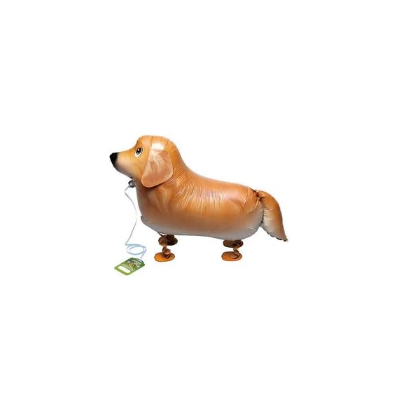 Sétáló Golden Retriver Kutya Lufi
