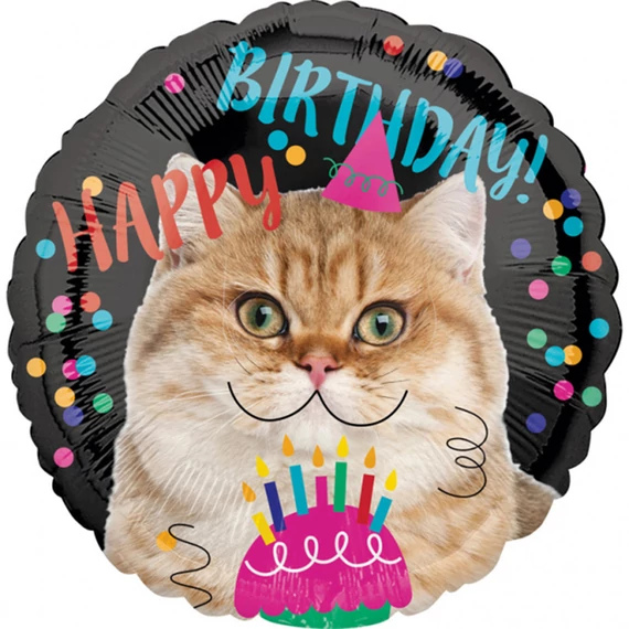 17 inch-es Happy Birthday Szülinapi Cica Fólia Lufi
