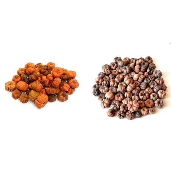 Liliputi tök, narancs, 10g/csomag