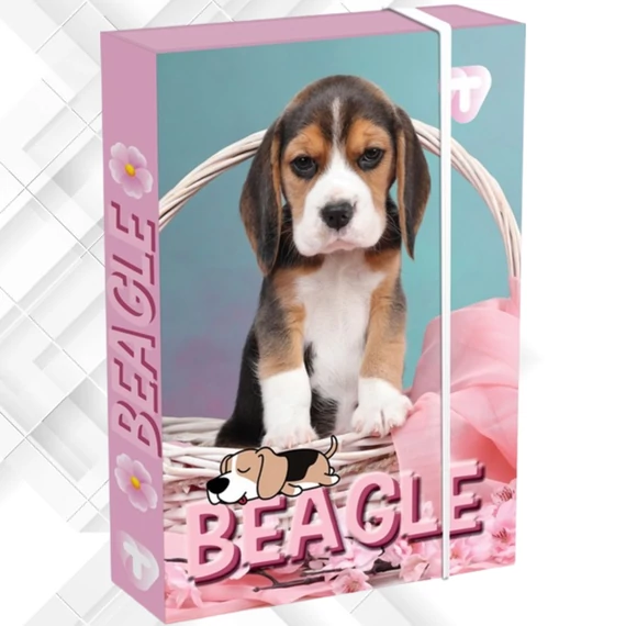Füzetbox, T-Creativ A/5 - Beagle