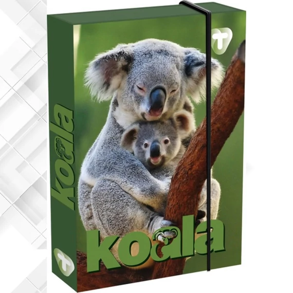 Füzetbox, T-Creativ A/5 - Koala